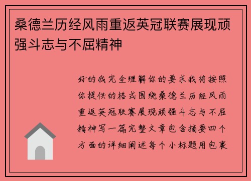 桑德兰历经风雨重返英冠联赛展现顽强斗志与不屈精神